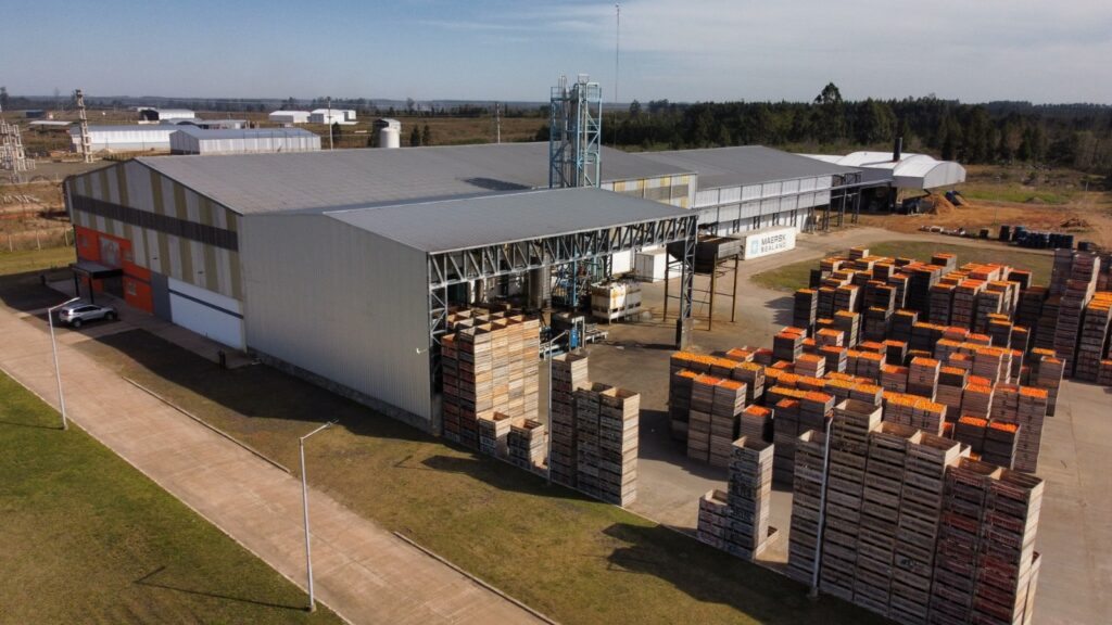 DESDE MOCORETÁ LA PROVINCIA DE CORRIENTES EXPORTA SU PRIMERA PARTIDA DE JUGO DE MANDARINA OKITSU