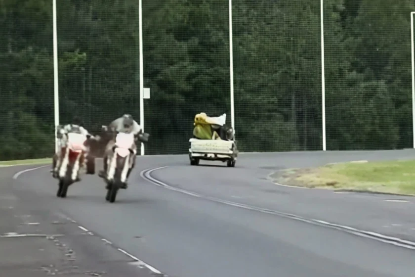 INICIARAN CAUSAS PENALES CONTRA MOTOCICLISTAS QUE CORRÍAN PICADAS EN LA RUTA 015 SALTO GRANDE